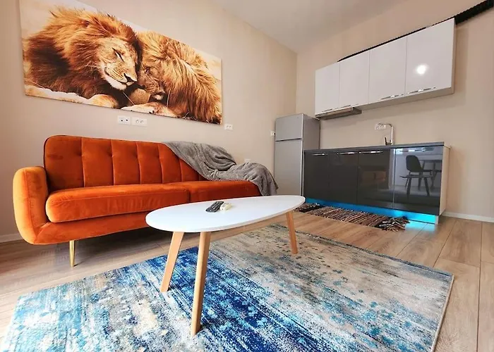 Toptani Deluxe Flat W 24h Check In 公寓 地拉那