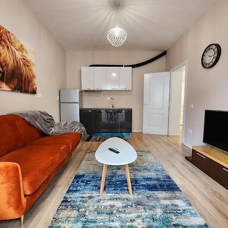 Toptani Deluxe Flat W 24h Check In Daire Tiran